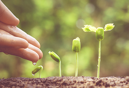 Curiosity opens up leadership possibilities