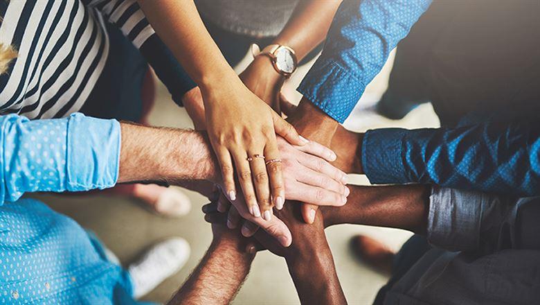 Five questions to align your team